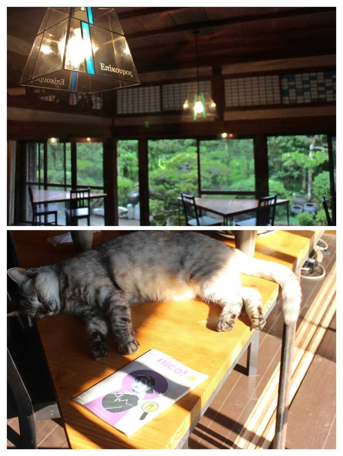 アートギャラリーの写真