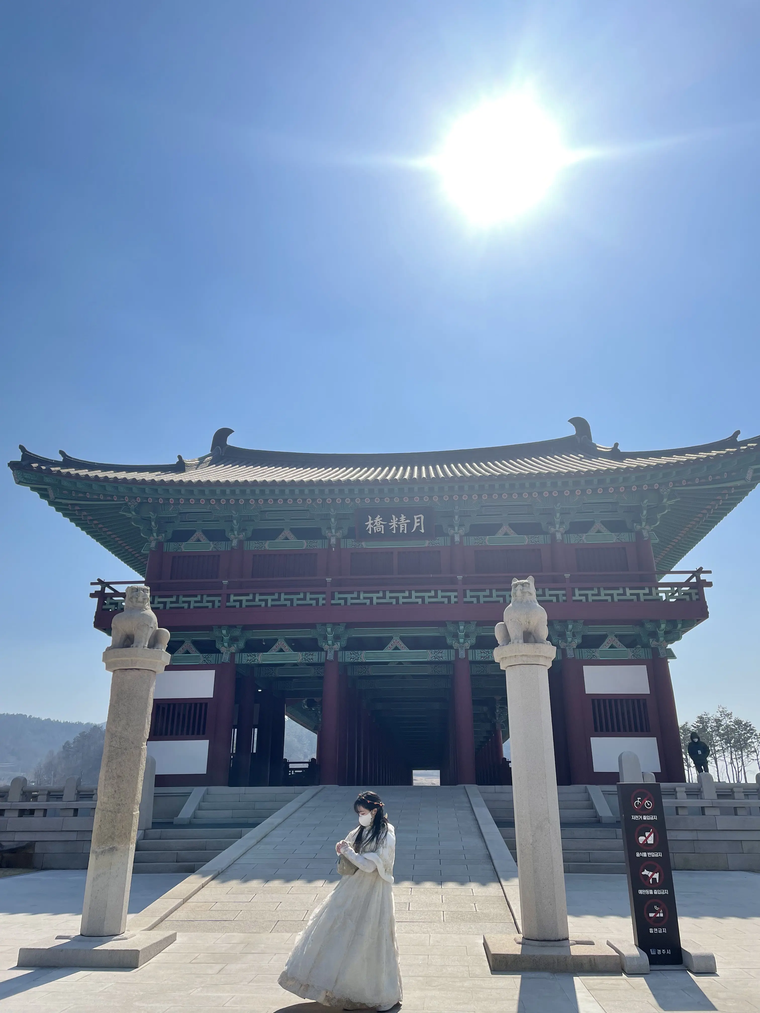 韓国に留学していた大木さん